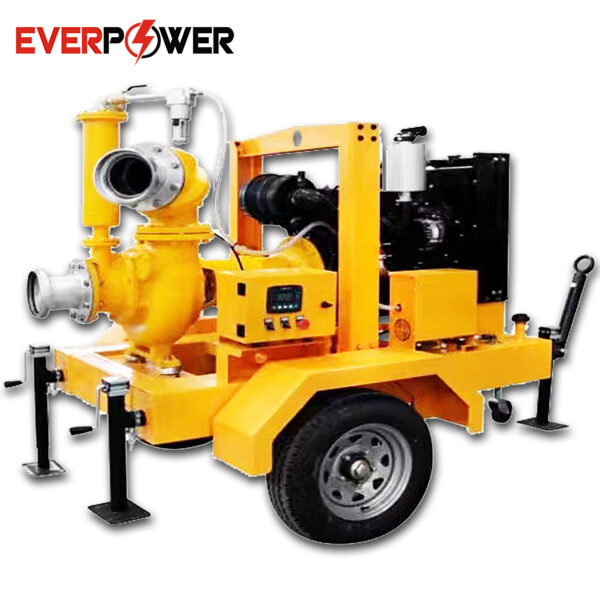 Diesel Water Pump